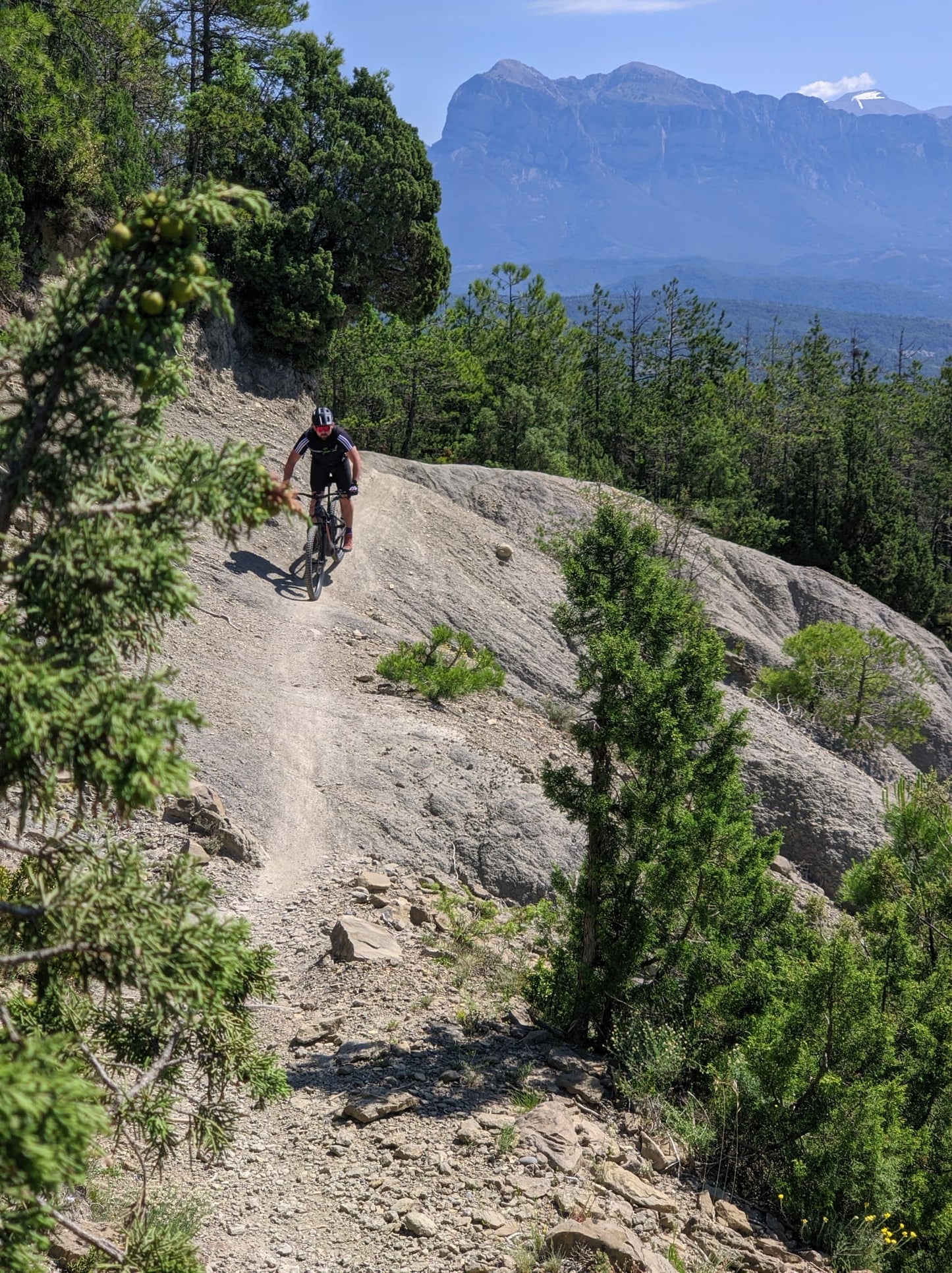Location demi-journée DEMAIN - Trek Rail 9 - El Grado