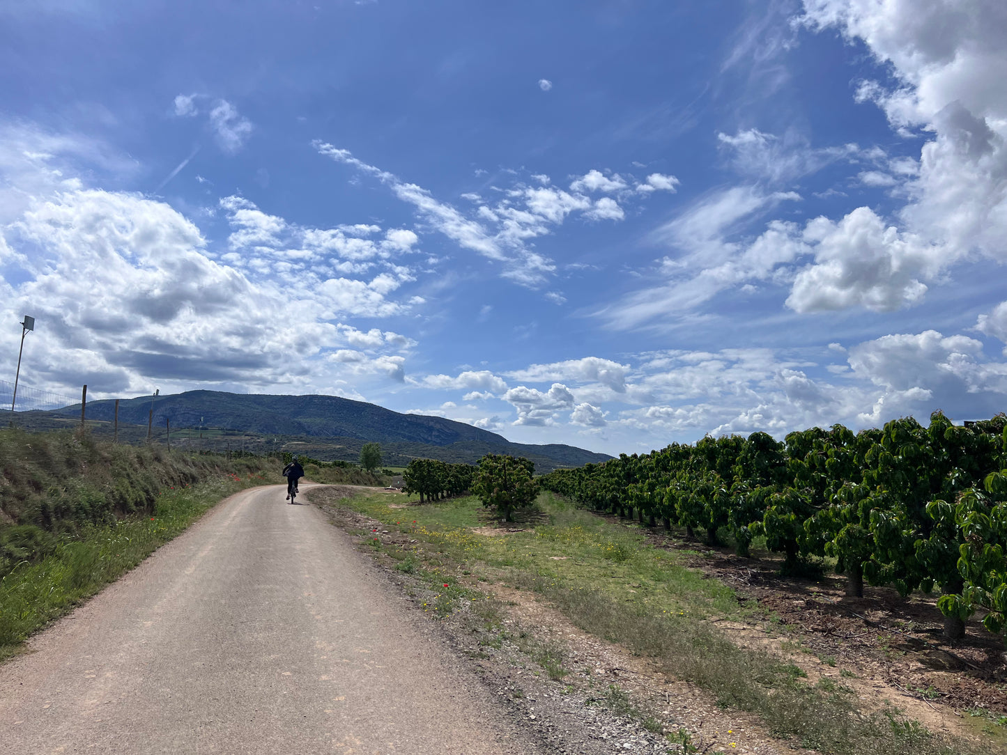Experiencia en eBike por las Rutas del Vino del Somontano