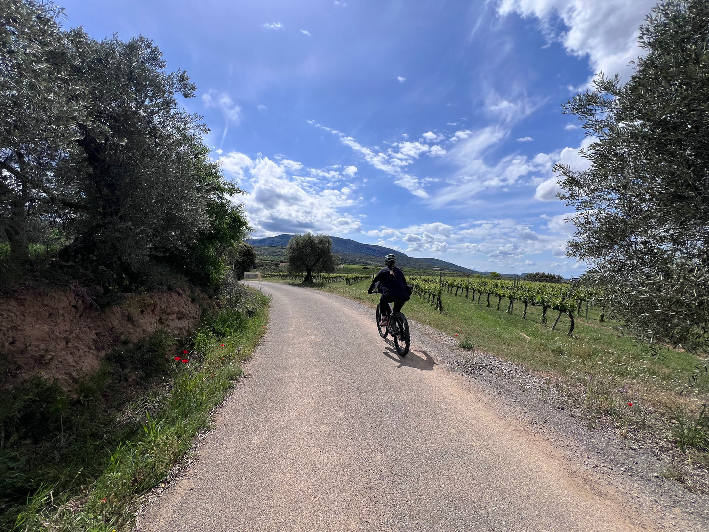 Experiencia en eBike por las Rutas del Vino del Somontano
