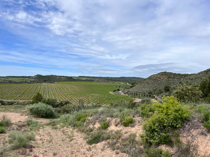 Experiencia en eBike por las Rutas del Vino del Somontano