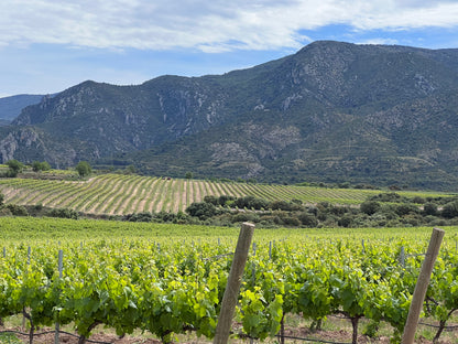 Experiencia en eBike por las Rutas del Vino del Somontano